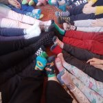 phoca_thumb_m_zajci 10 Fotogalerie